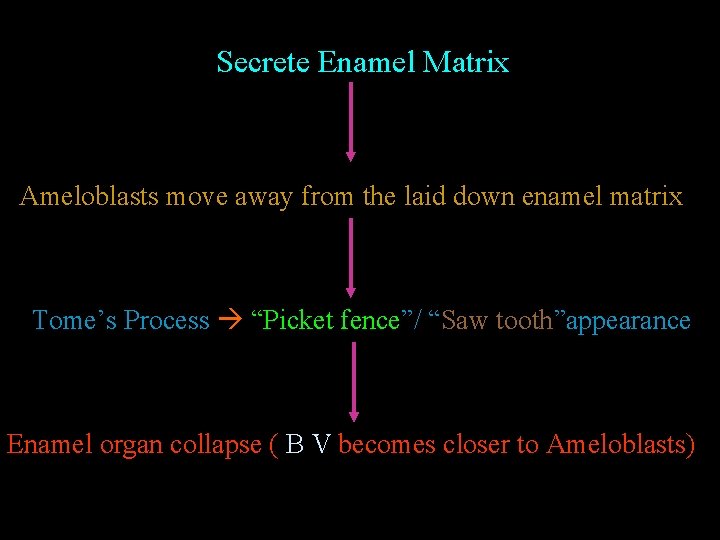 Secrete Enamel Matrix Ameloblasts move away from the laid down enamel matrix Tome’s Process