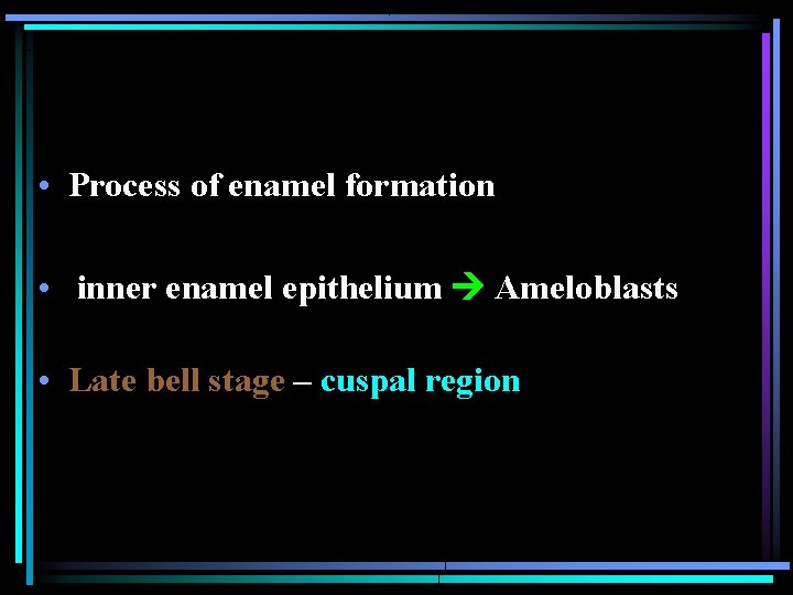  • Process of enamel formation • inner enamel epithelium Ameloblasts • Late bell