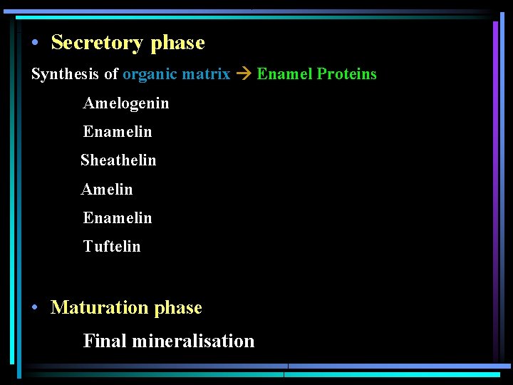  • Secretory phase Synthesis of organic matrix Enamel Proteins Amelogenin Enamelin Sheathelin Amelin