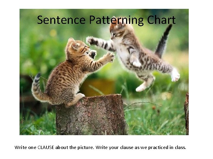 Sentence Patterning Chart Write one CLAUSE about the picture. Write your clause as we