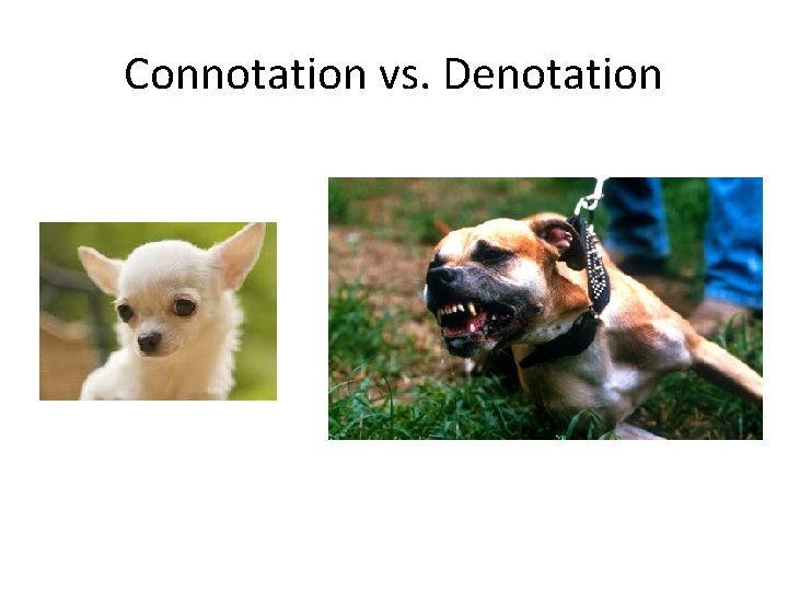 Connotation vs. Denotation 