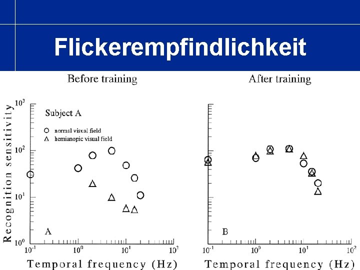 Flickerempfindlichkeit 