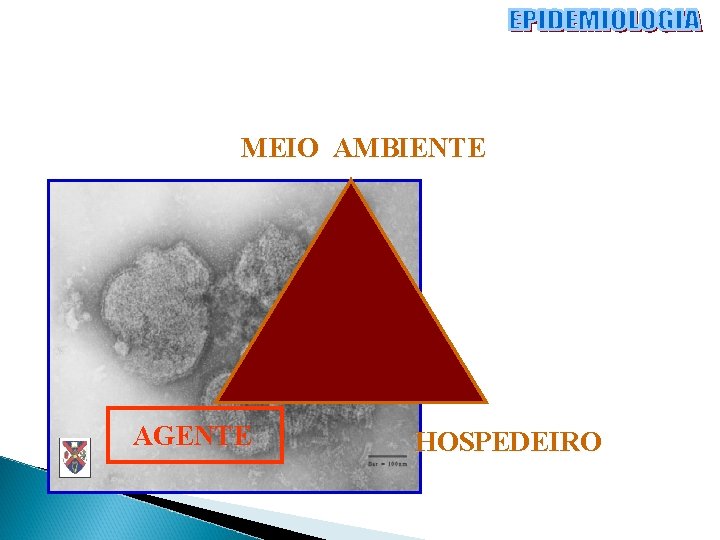 MEIO AMBIENTE AGENTE HOSPEDEIRO 