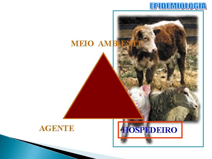 MEIO AMBIENTE AGENTE HOSPEDEIRO 