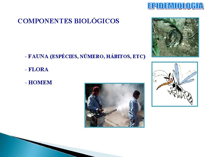 COMPONENTES BIOLÓGICOS - FAUNA (ESPÉCIES, NÚMERO, HÁBITOS, ETC) - FLORA - HOMEM 