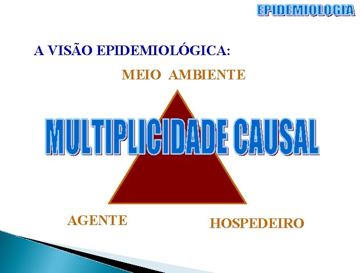 A VISÃO EPIDEMIOLÓGICA: MEIO AMBIENTE AGENTE HOSPEDEIRO 