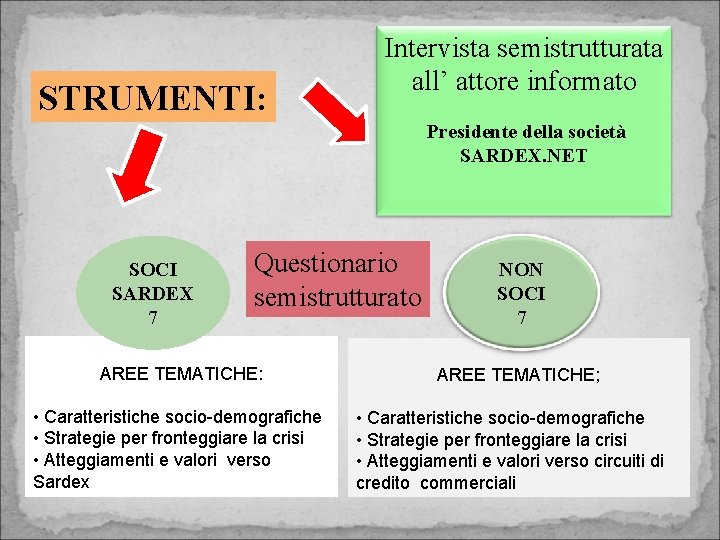 STRUMENTI: Intervista semistrutturata all’ attore informato Presidente della società SARDEX. NET SOCI SARDEX 7