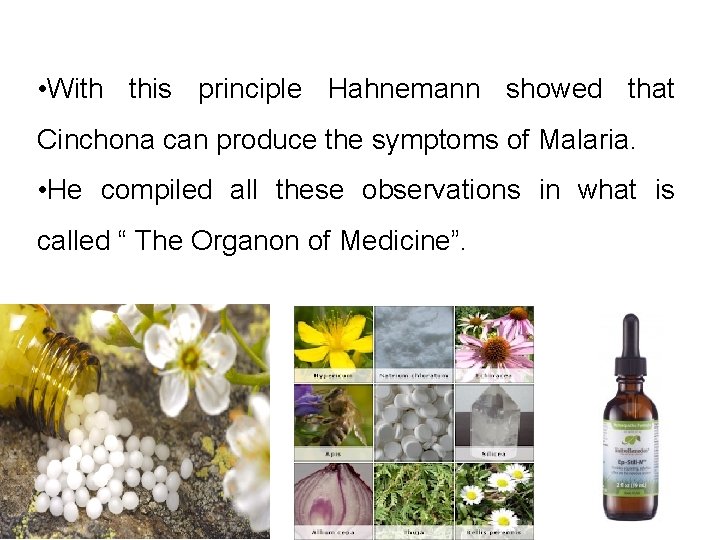  • With this principle Hahnemann showed that Cinchona can produce the symptoms of