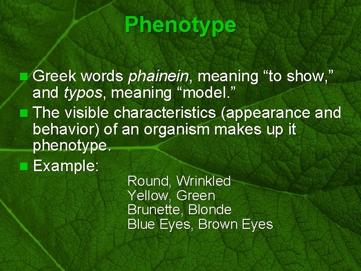 Slide 16 Phenotype n Greek words phainein, meaning “to show, ” and typos, meaning