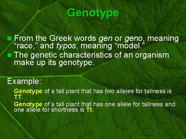 Slide 17 Genotype n From the Greek words gen or geno, meaning “race, ”