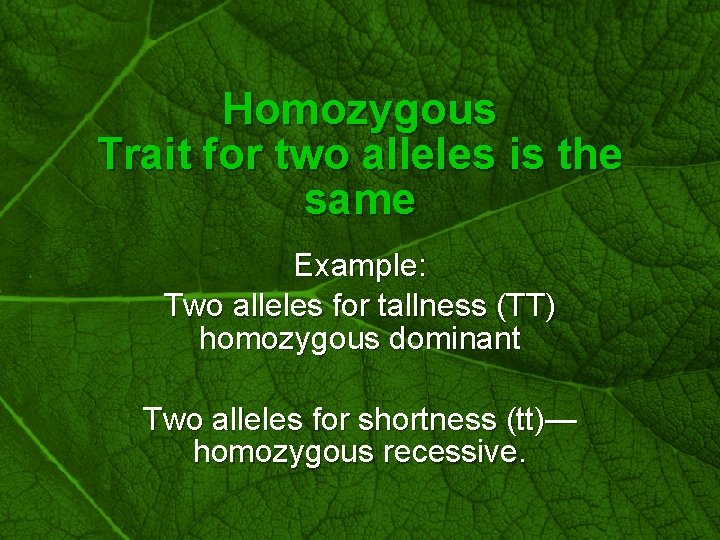 Slide 18 Homozygous Trait for two alleles is the same Example: Two alleles for