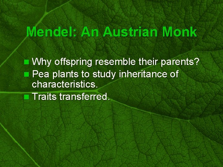 Slide 2 Mendel: An Austrian Monk n Why offspring resemble their parents? n Pea