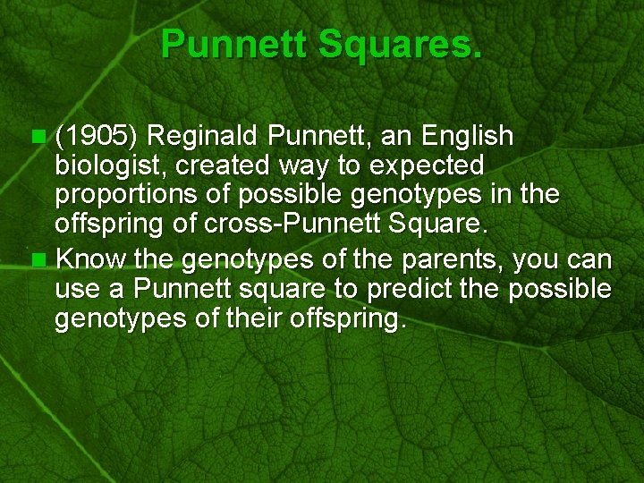 Slide 20 Punnett Squares. n (1905) Reginald Punnett, an English biologist, created way to