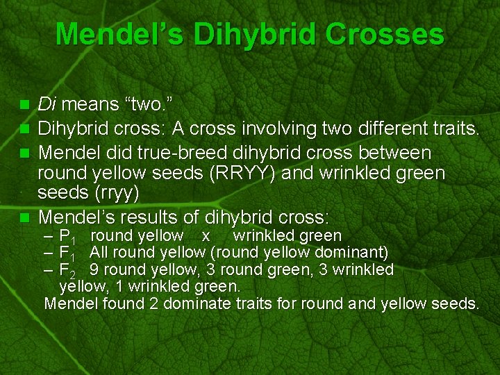 Slide 24 Mendel’s Dihybrid Crosses Di means “two. ” n Dihybrid cross: A cross