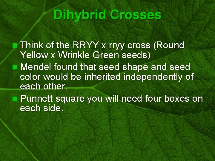 Slide 26 Dihybrid Crosses n Think of the RRYY x rryy cross (Round Yellow