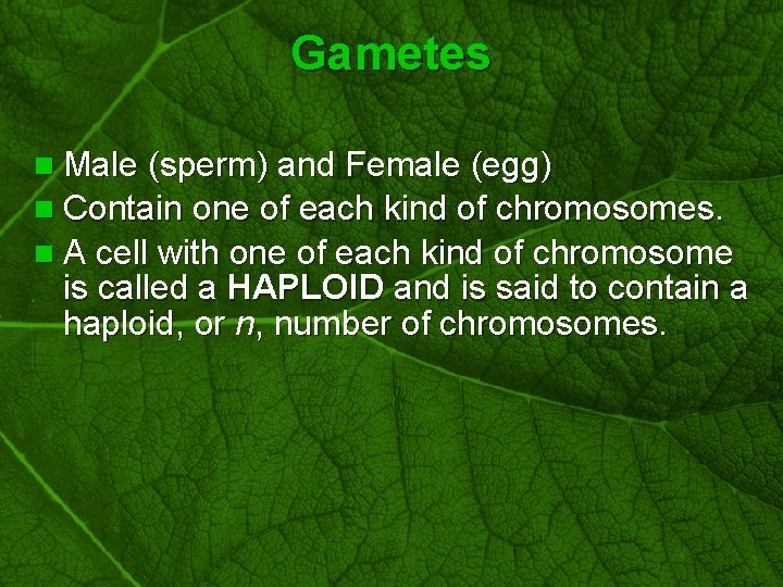Slide 36 Gametes n Male (sperm) and Female (egg) n Contain one of each
