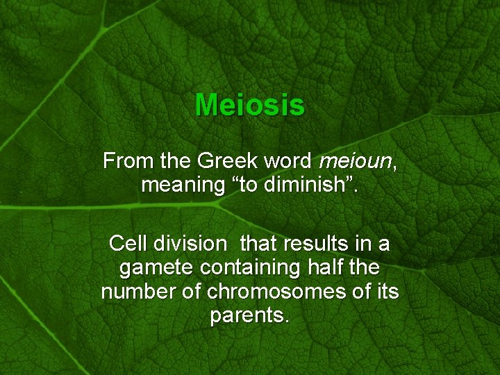 Slide 41 Meiosis From the Greek word meioun, meaning “to diminish”. Cell division that