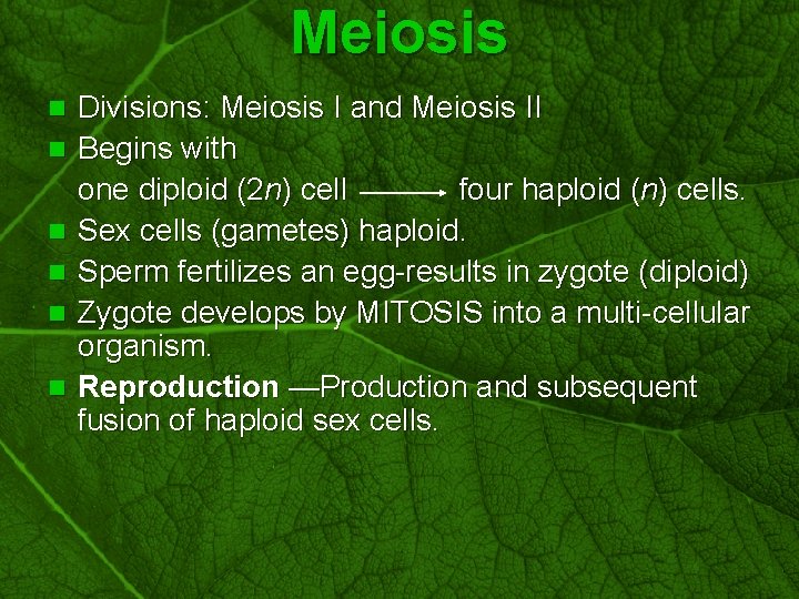 Slide 42 n n n Meiosis Divisions: Meiosis I and Meiosis II Begins with