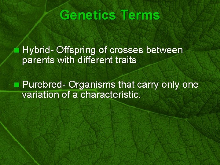 Slide 5 Genetics Terms n Hybrid- Offspring of crosses between parents with different traits