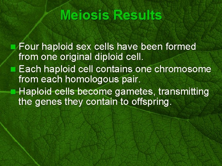 Slide 51 Meiosis Results n Four haploid sex cells have been formed from one