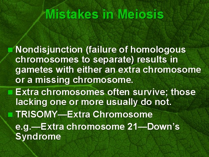 Slide 57 Mistakes in Meiosis n Nondisjunction (failure of homologous chromosomes to separate) results