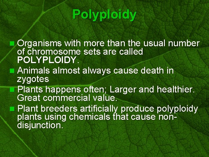 Slide 61 Polyploidy n Organisms with more than the usual number of chromosome sets