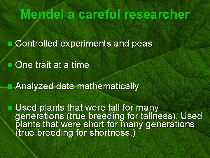 Slide 7 Mendel a careful researcher n Controlled experiments and peas n One trait