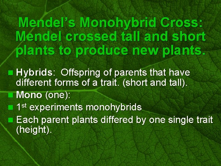 Slide 8 Mendel’s Monohybrid Cross: Mendel crossed tall and short plants to produce new