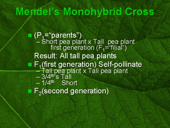 Slide 9 Mendel’s Monohybrid Cross n (P 1=“parents”) – Short pea plant x Tall