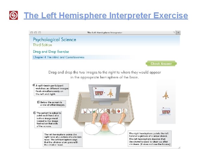 The Left Hemisphere Interpreter Exercise 