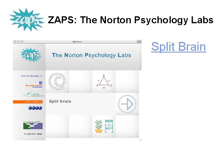 ZAPS: The Norton Psychology Labs Split Brain 