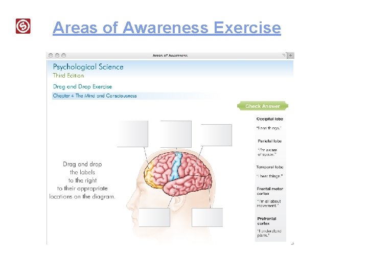 Areas of Awareness Exercise 
