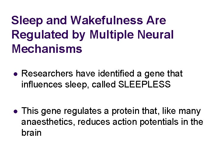 Sleep and Wakefulness Are Regulated by Multiple Neural Mechanisms l Researchers have identified a
