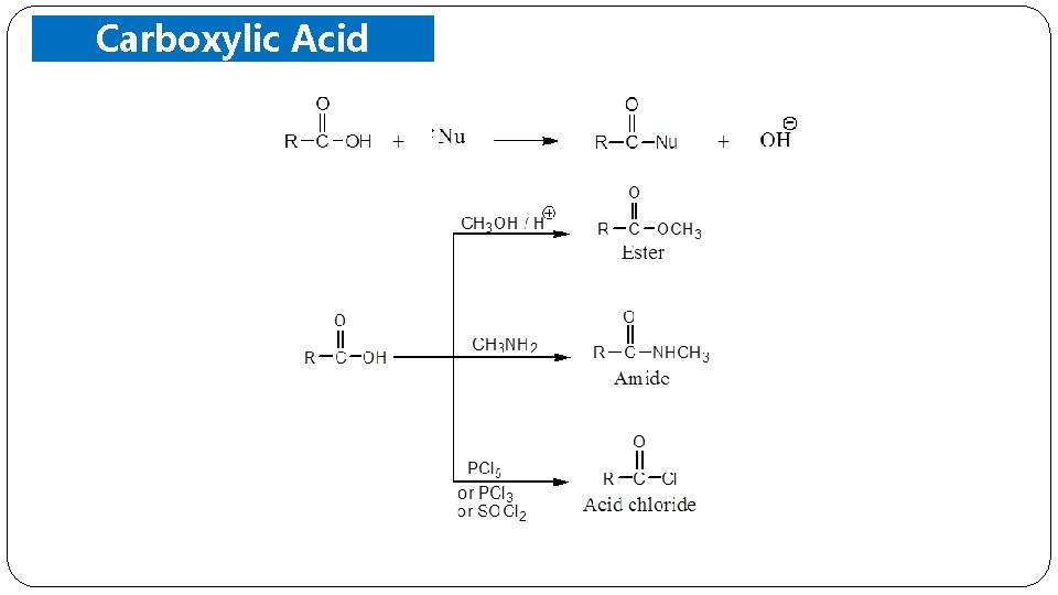 Carboxylic Acid Derivatives 