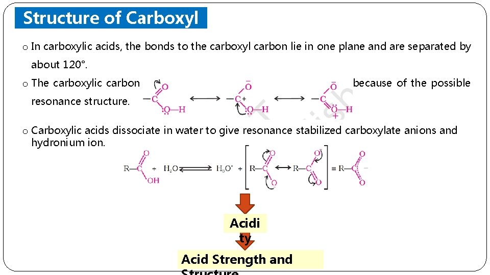 Structure of Carboxyl Group o In carboxylic acids, the bonds to the carboxyl carbon