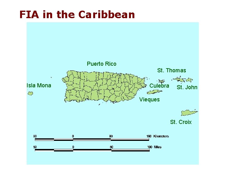 FIA in the Caribbean Puerto Rico St. Thomas Isla Mona Culebra St. John Vieques FIA in the Caribbean Puerto Rico St. Thomas Isla Mona Culebra St. John Vieques