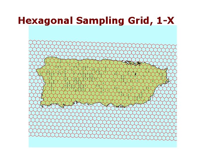 Hexagonal Sampling Grid, 1 -X Hexagonal Sampling Grid, 1 -X