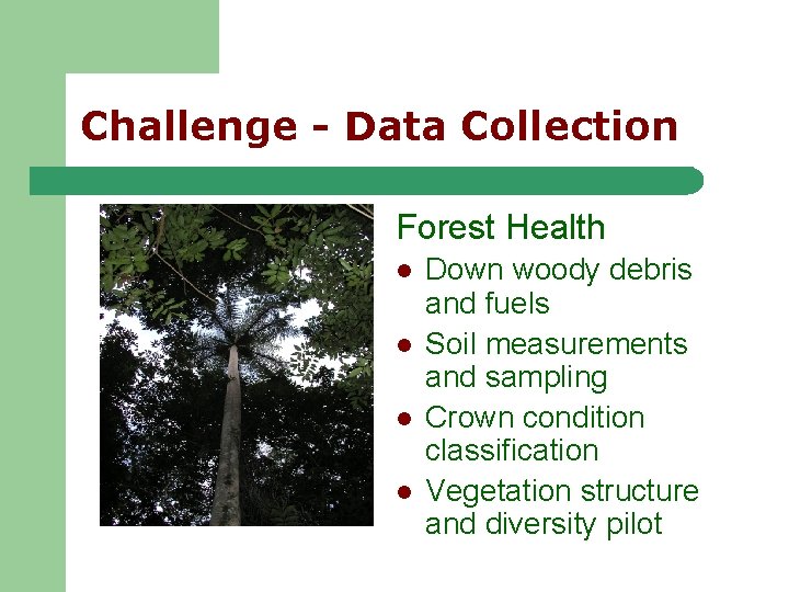 Challenge - Data Collection Forest Health l l Down woody debris and fuels Soil Challenge - Data Collection Forest Health l l Down woody debris and fuels Soil