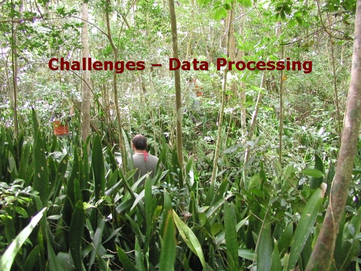 Challenges – Data Processing Challenges – Data Processing