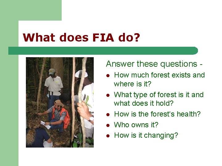 What does FIA do? Answer these questions l l l How much forest exists What does FIA do? Answer these questions l l l How much forest exists