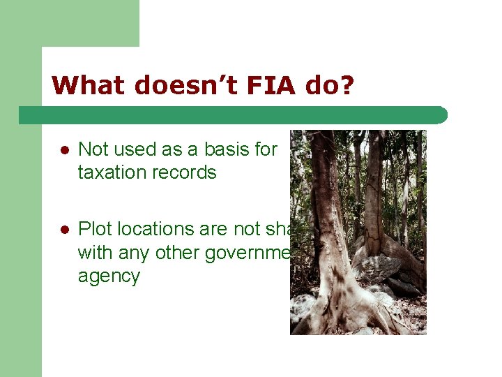 What doesn’t FIA do? l Not used as a basis for taxation records l What doesn’t FIA do? l Not used as a basis for taxation records l