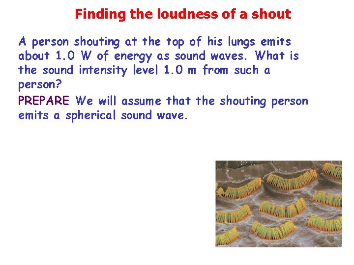 Finding the loudness of a shout A person shouting at the top of his