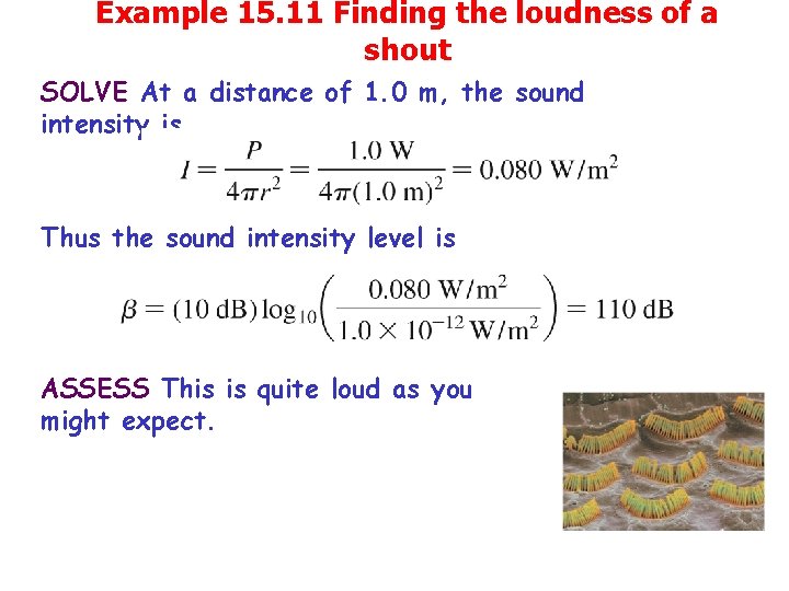 Example 15. 11 Finding the loudness of a shout SOLVE At a distance of