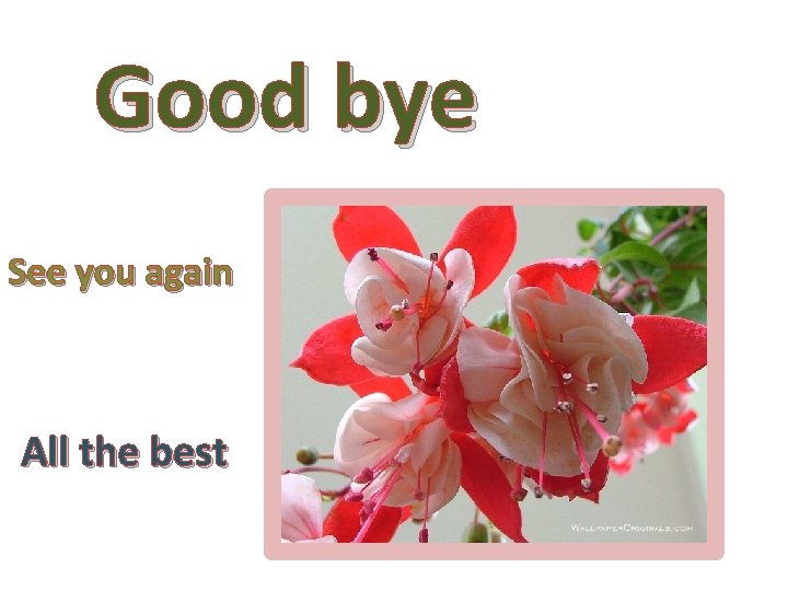 Good bye See you again All the best 