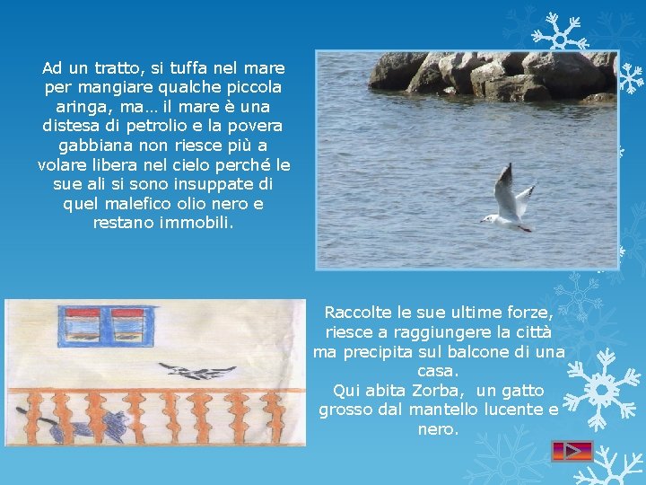 Ad un tratto, si tuffa nel mare per mangiare qualche piccola aringa, ma… il