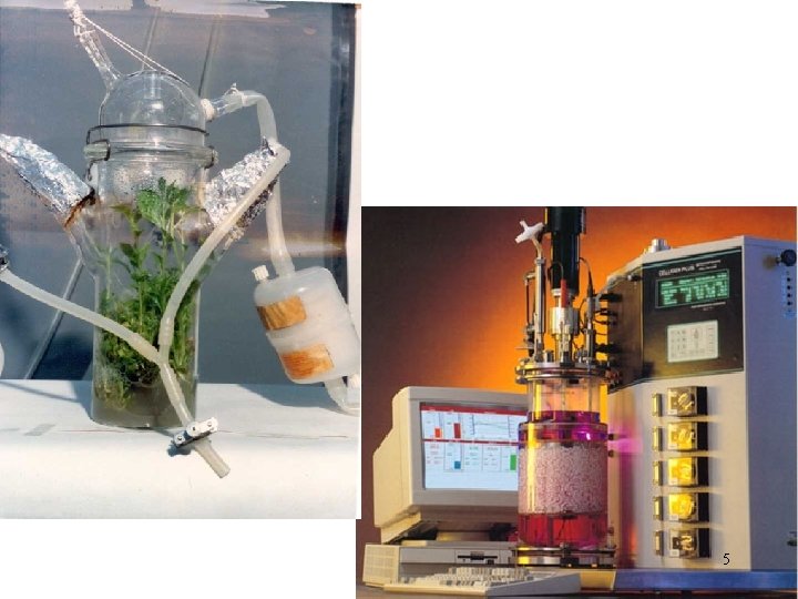 Bio 301 Overview of Topics Intro Bioprocessing Biotechnology