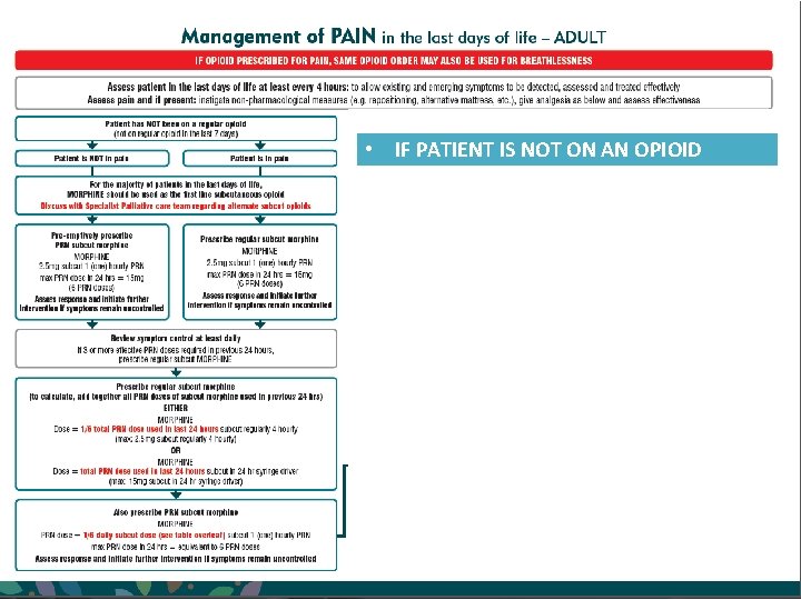  • IF PATIENT IS NOT ON AN OPIOID PRESENTATION NAME – MONTH YYYY