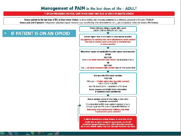  • IF PATIENT IS ON AN OPIOID PRESENTATION NAME – MONTH YYYY PRESENTER