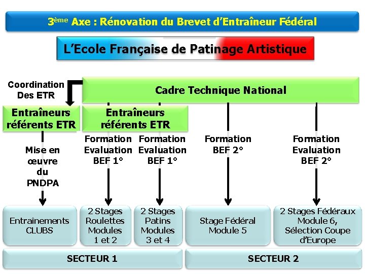 3ème Axe : Rénovation du Brevet d’Entraîneur Fédéral L’Ecole Française de Patinage Artistique Coordination