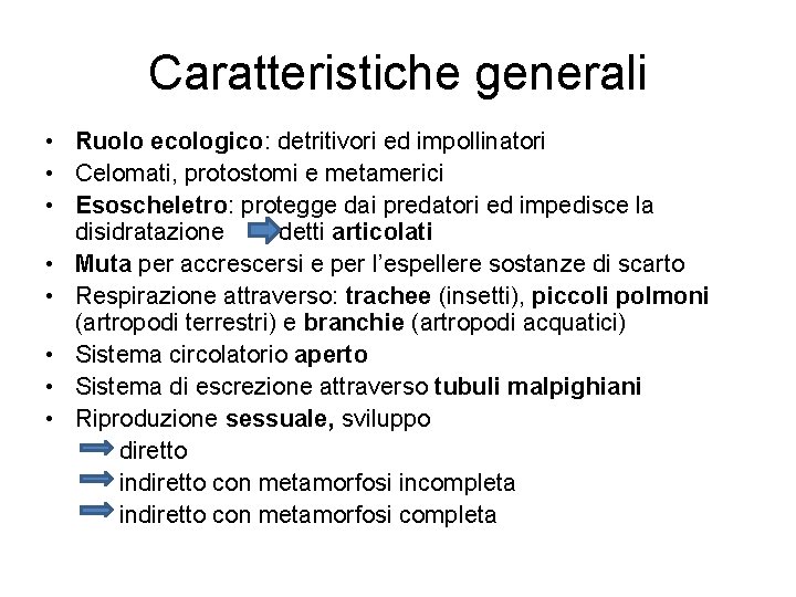 Caratteristiche generali • Ruolo ecologico: detritivori ed impollinatori • Celomati, protostomi e metamerici •